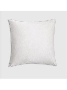 NWOT QUINCE Premium Feather Pillow Insert 22x22”